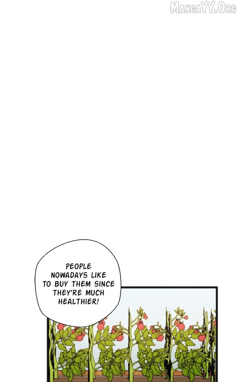 Mistake Chapter 202 page 24 - 