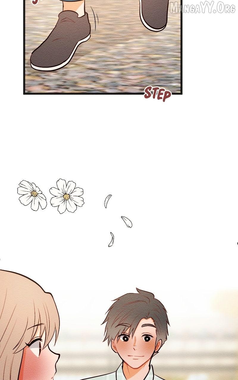 Mistake Chapter 202 page 35 - 