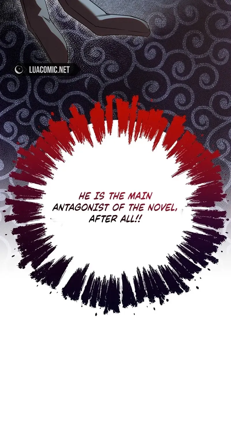 Mistaken for the Villain