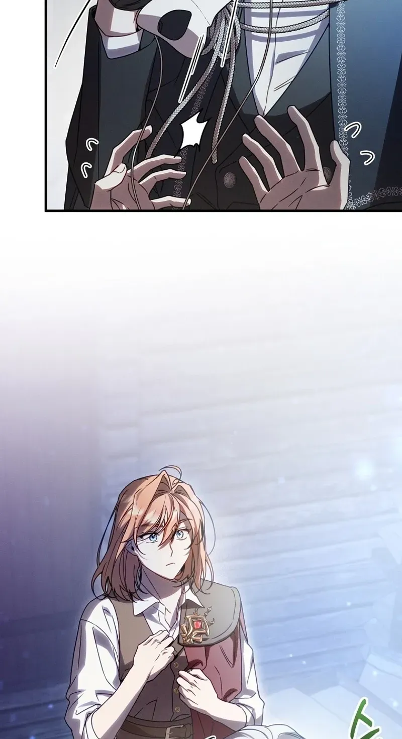 Mistaken for the Villain