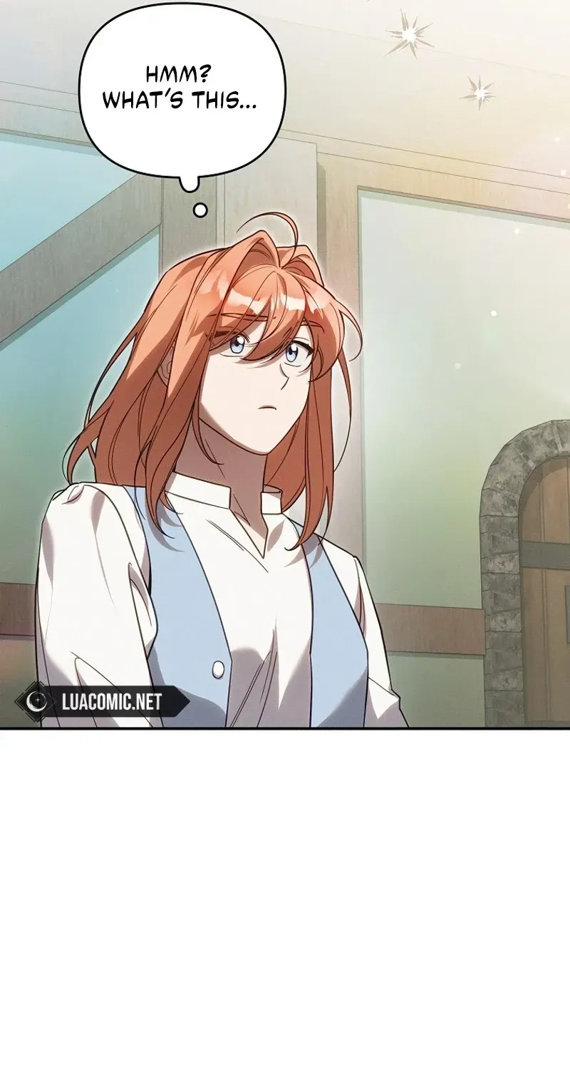 Mistaken for the Villain
