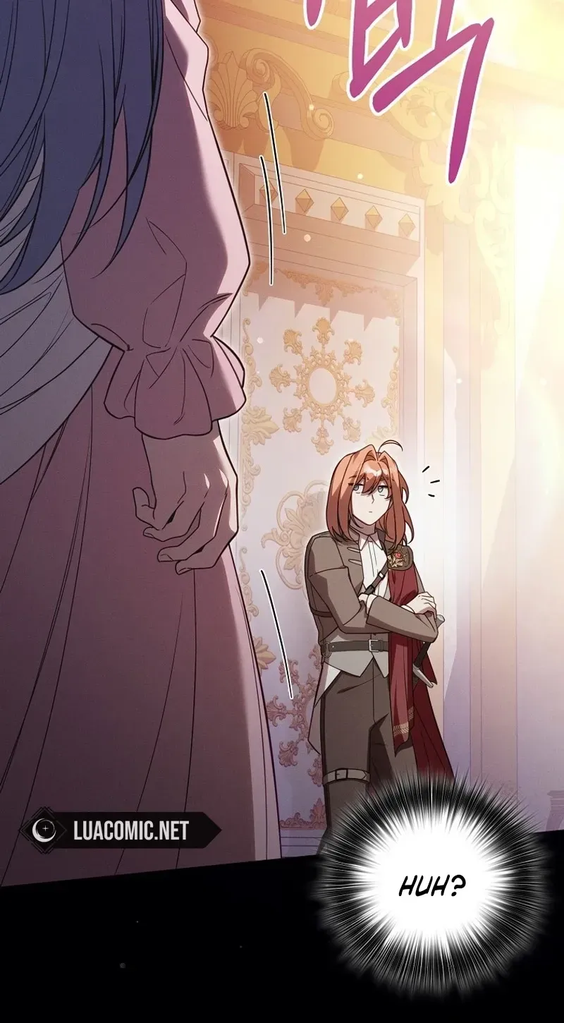 Mistaken for the Villain