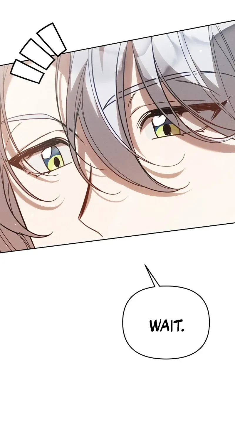 Mistaken for the Villain