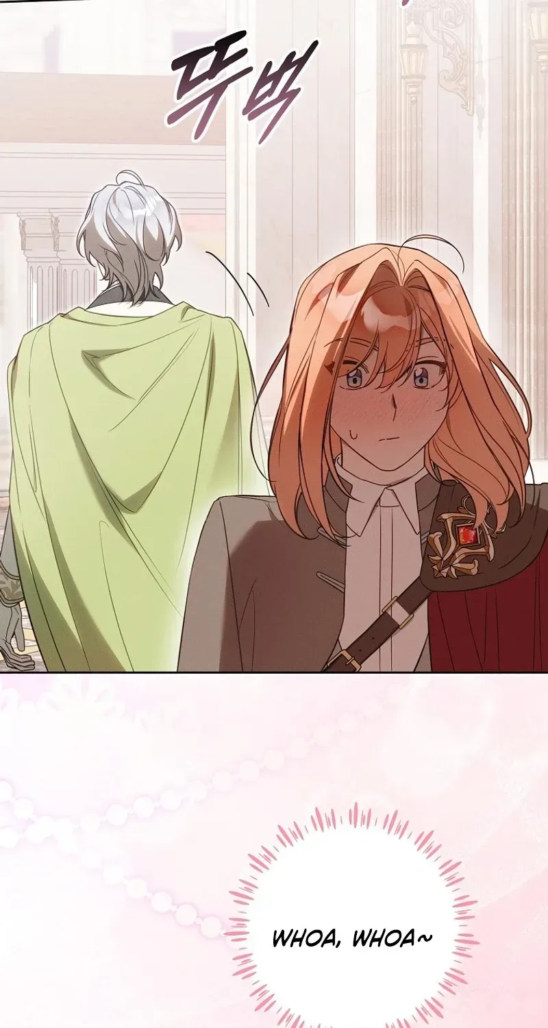 Mistaken for the Villain