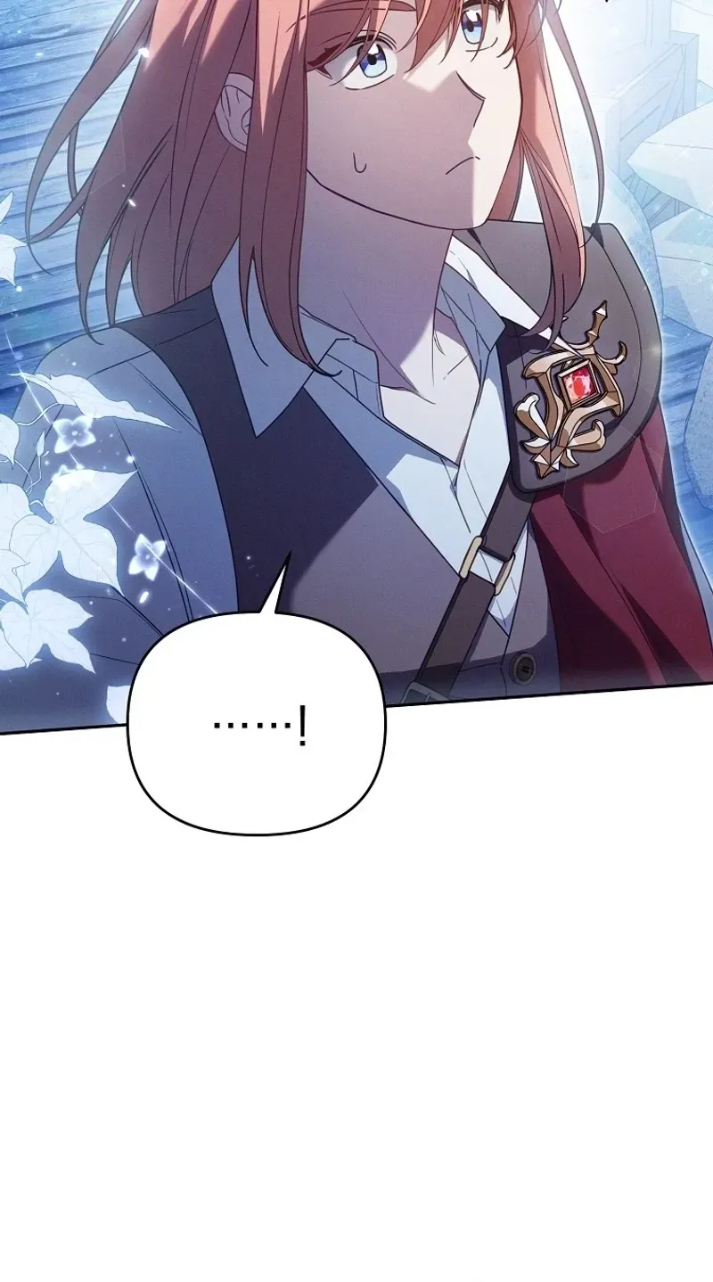 Mistaken for the Villain