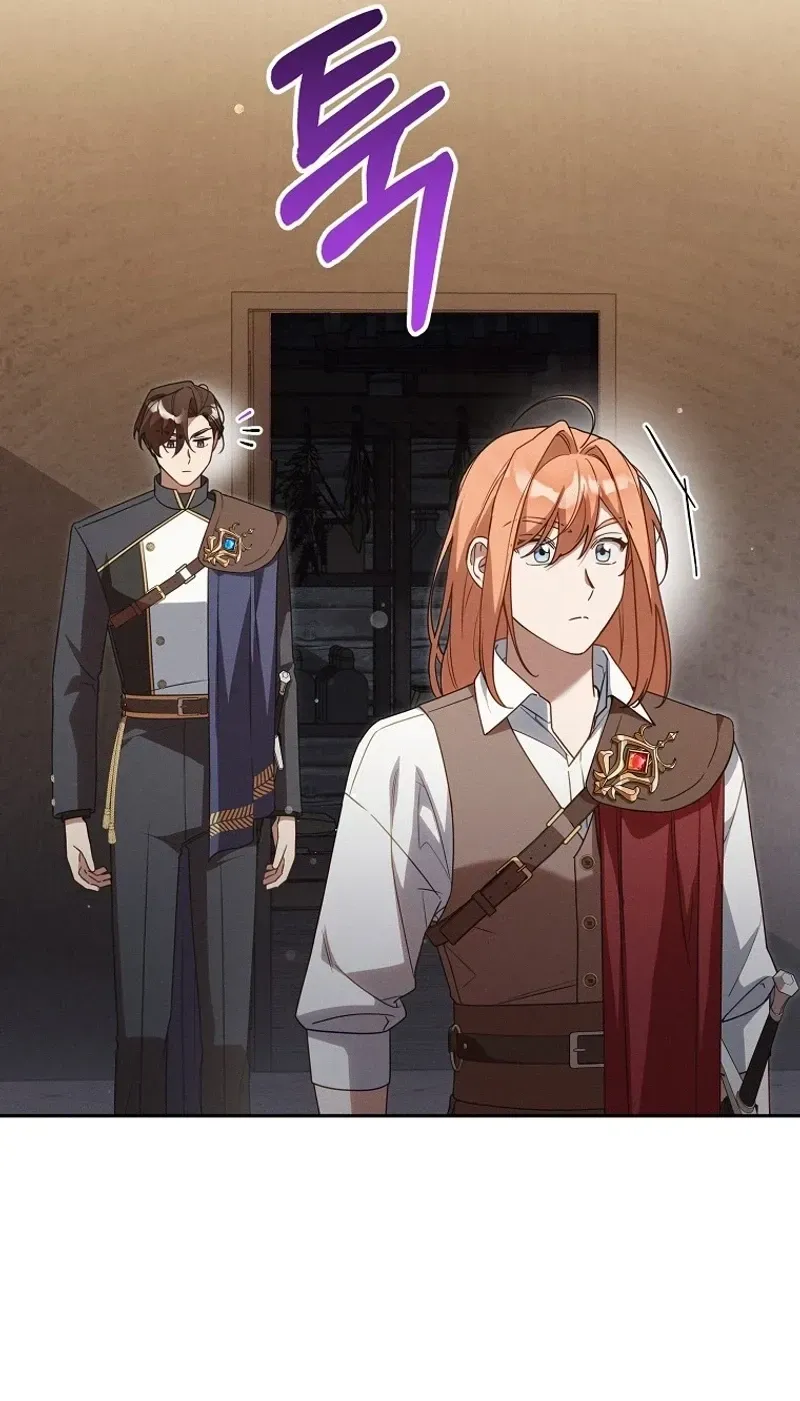 Mistaken for the Villain