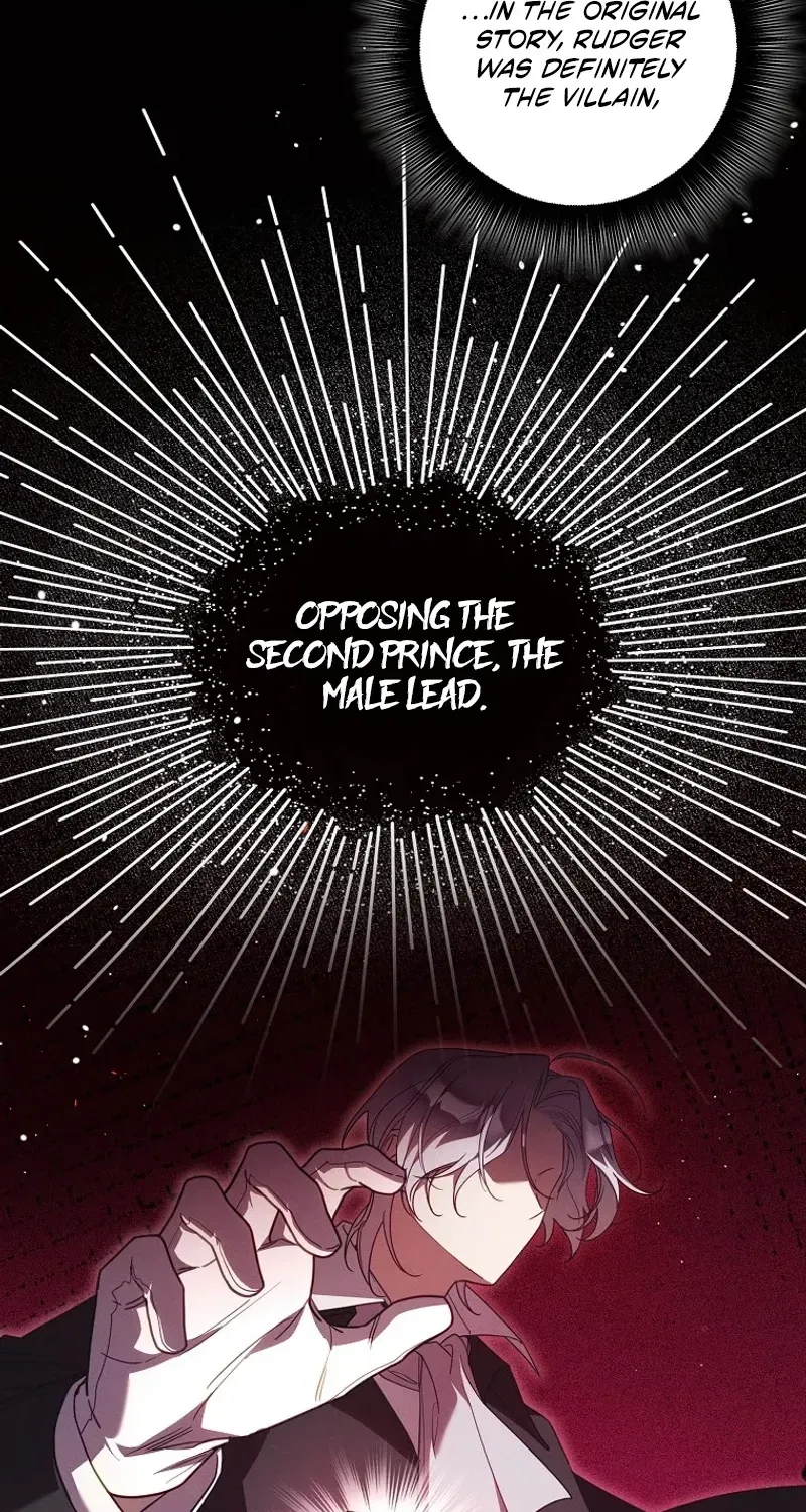 Mistaken for the Villain