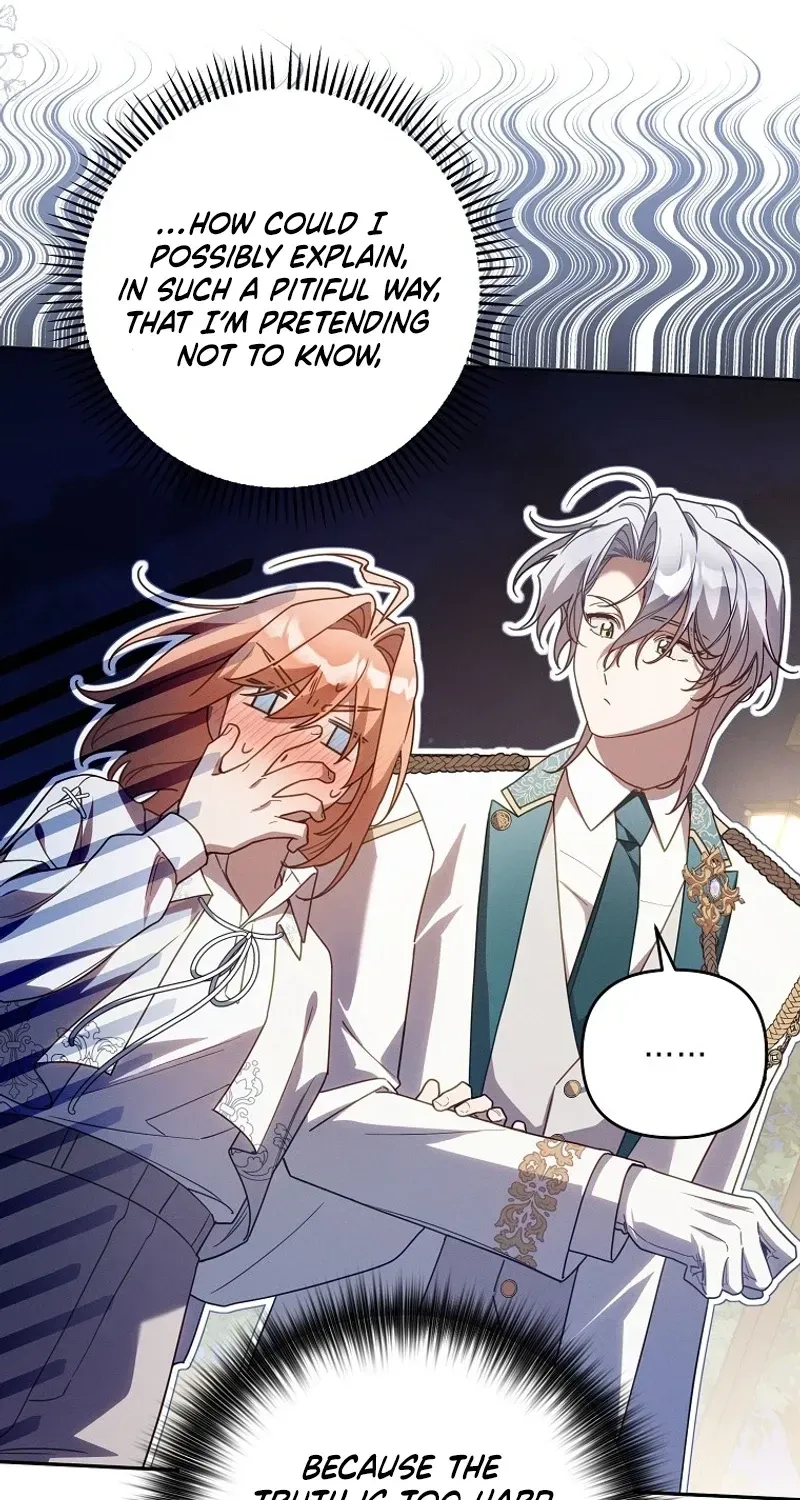 Mistaken for the Villain