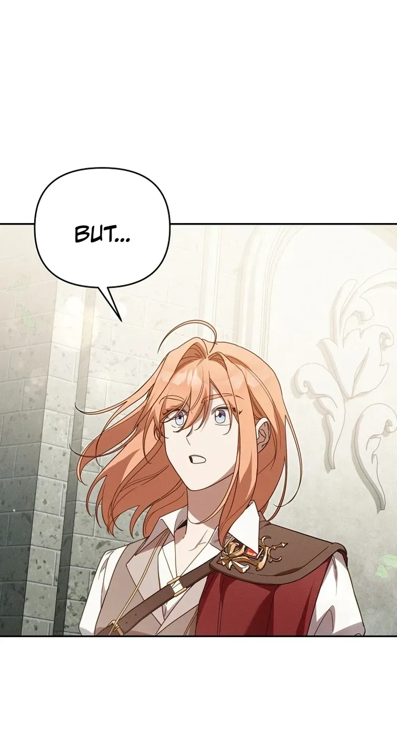 Mistaken for the Villain