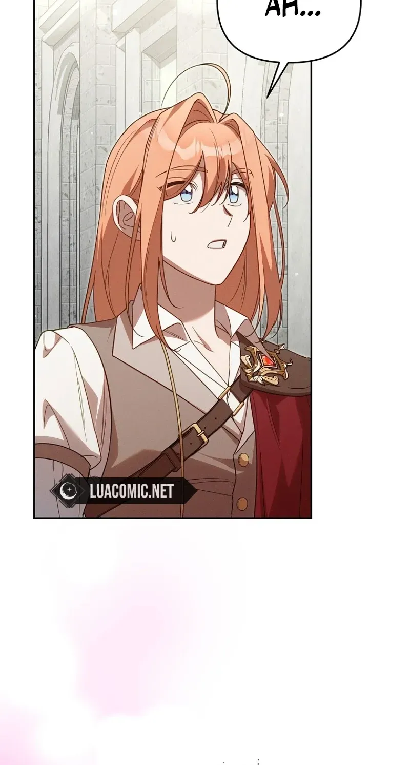Mistaken for the Villain