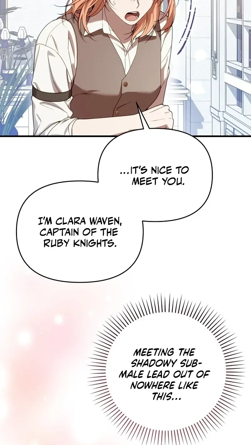 Mistaken for the Villain