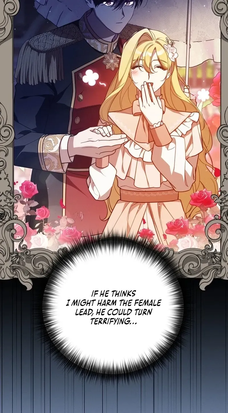 Mistaken for the Villain