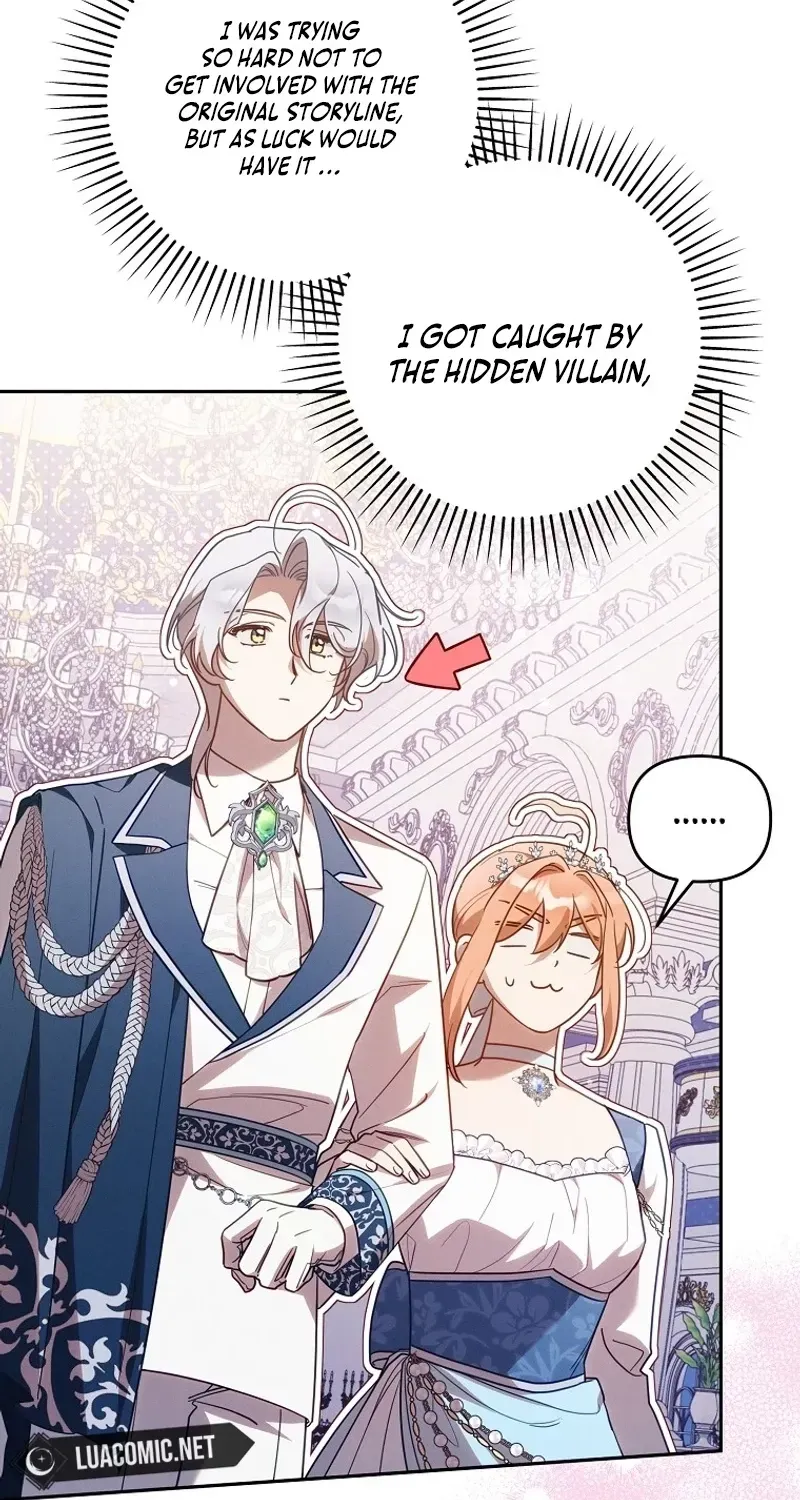 Mistaken for the Villain