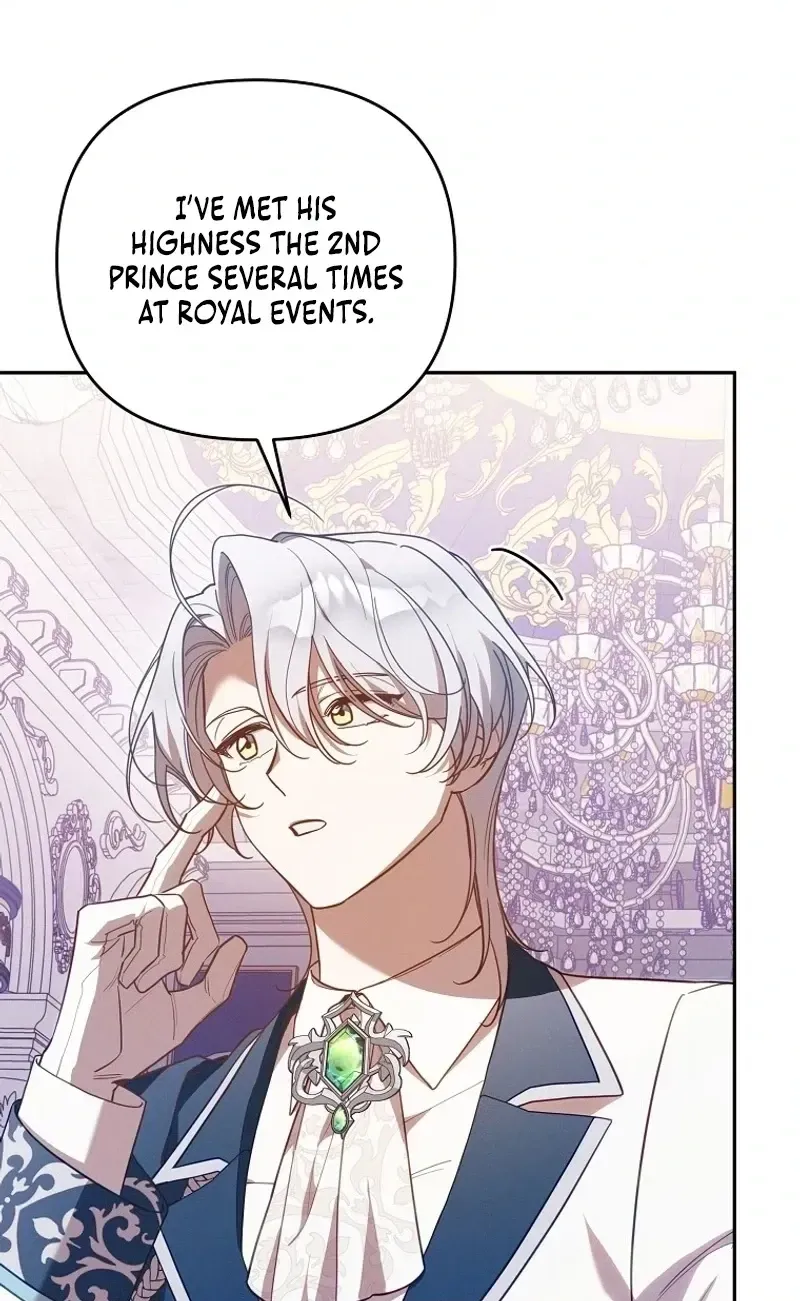Mistaken for the Villain