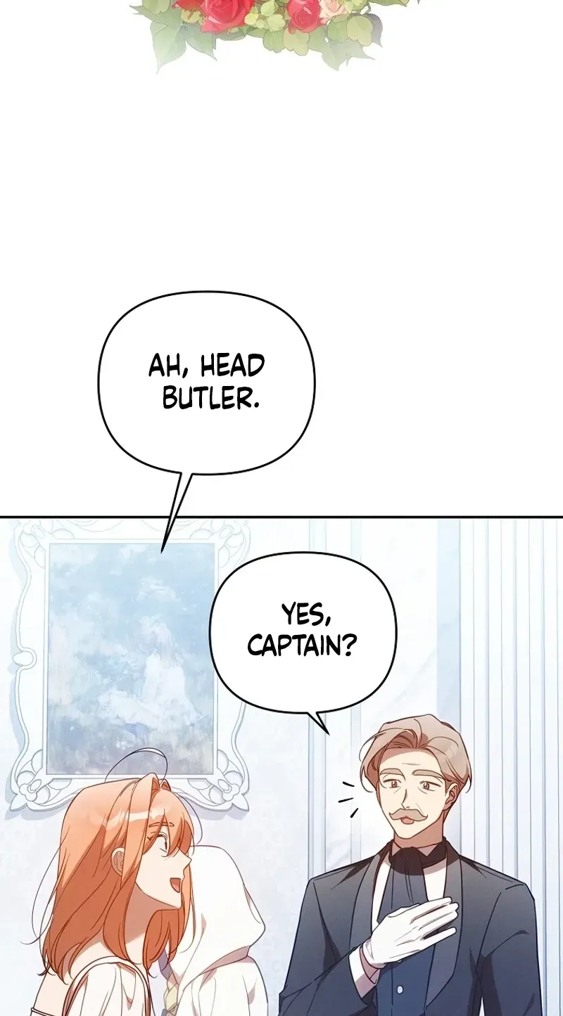 Mistaken for the Villain