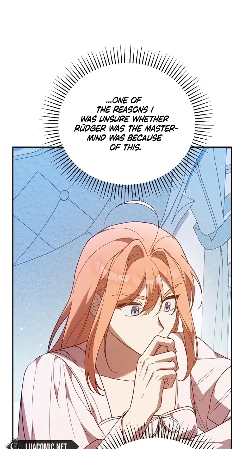 Mistaken for the Villain