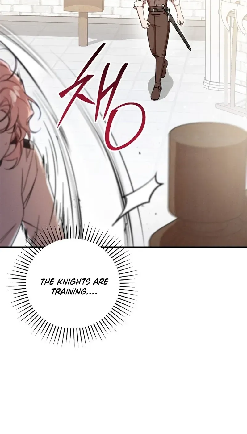 Mistaken for the Villain