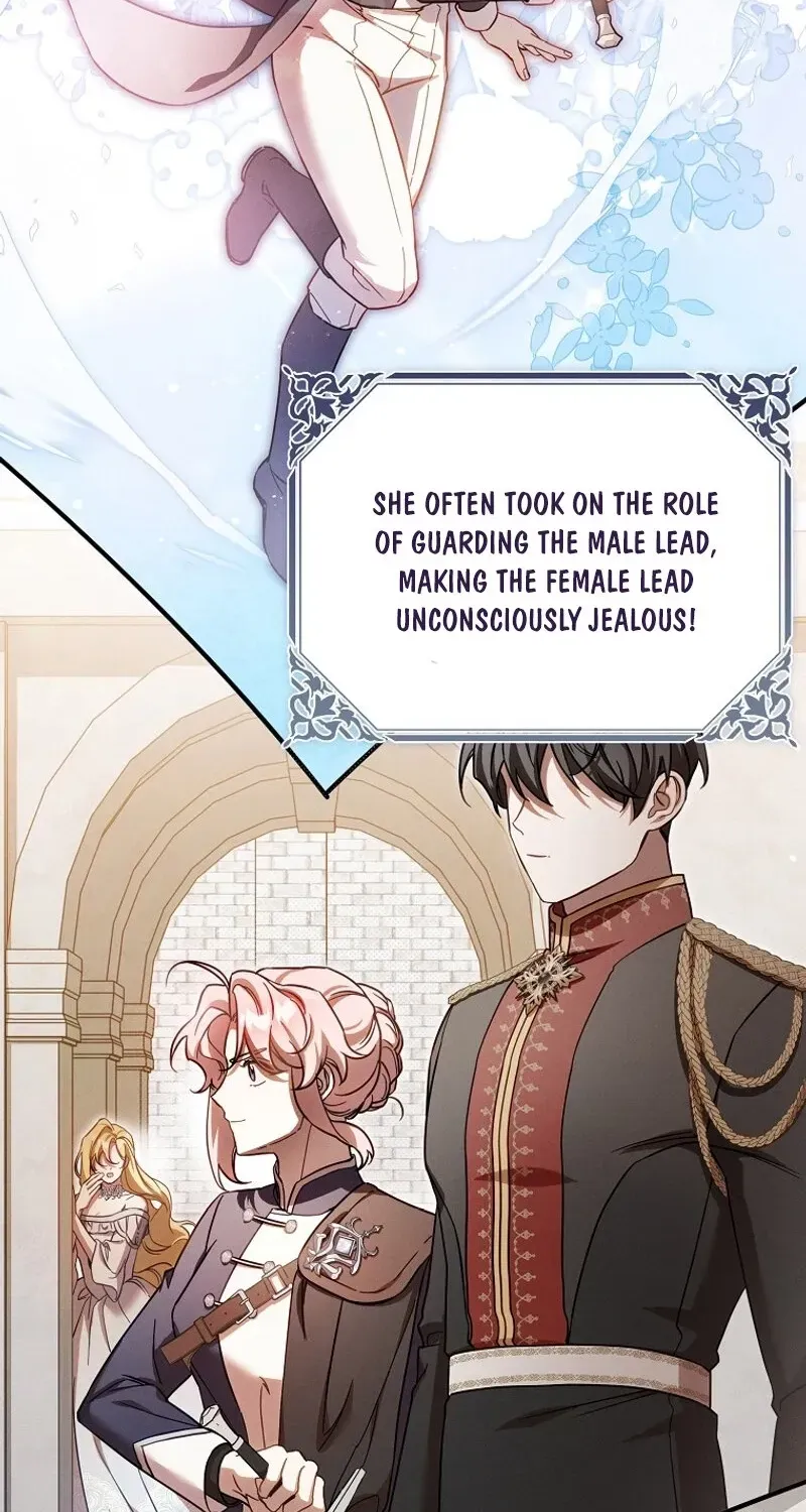 Mistaken for the Villain