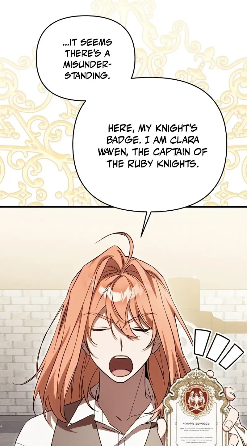Mistaken for the Villain