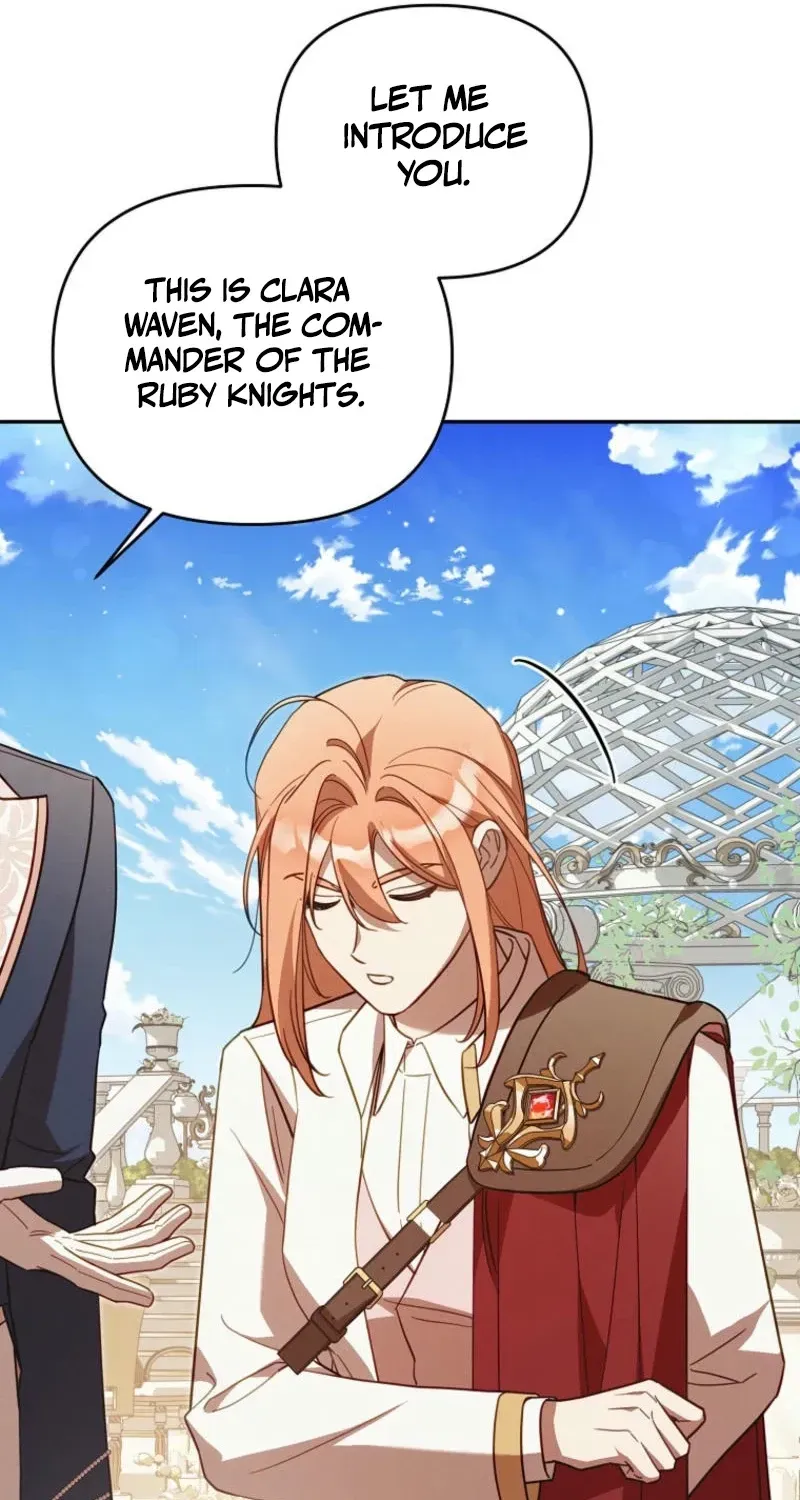 Mistaken for the Villain