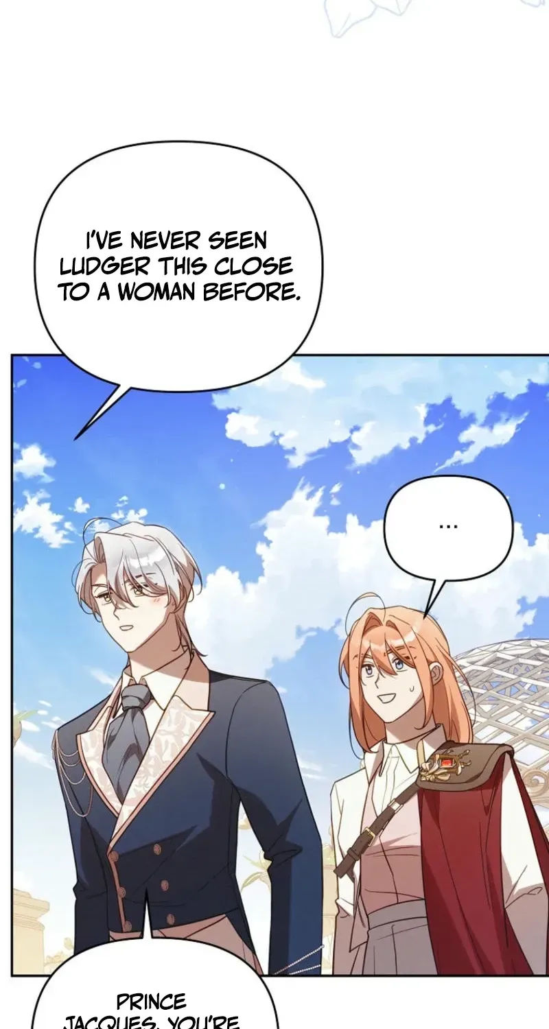 Mistaken for the Villain