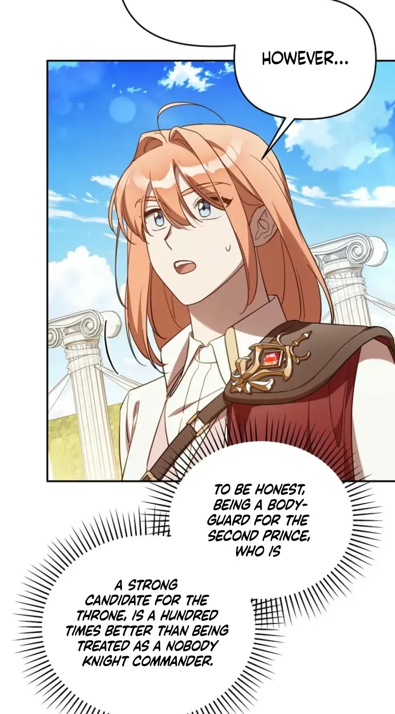 Mistaken for the Villain