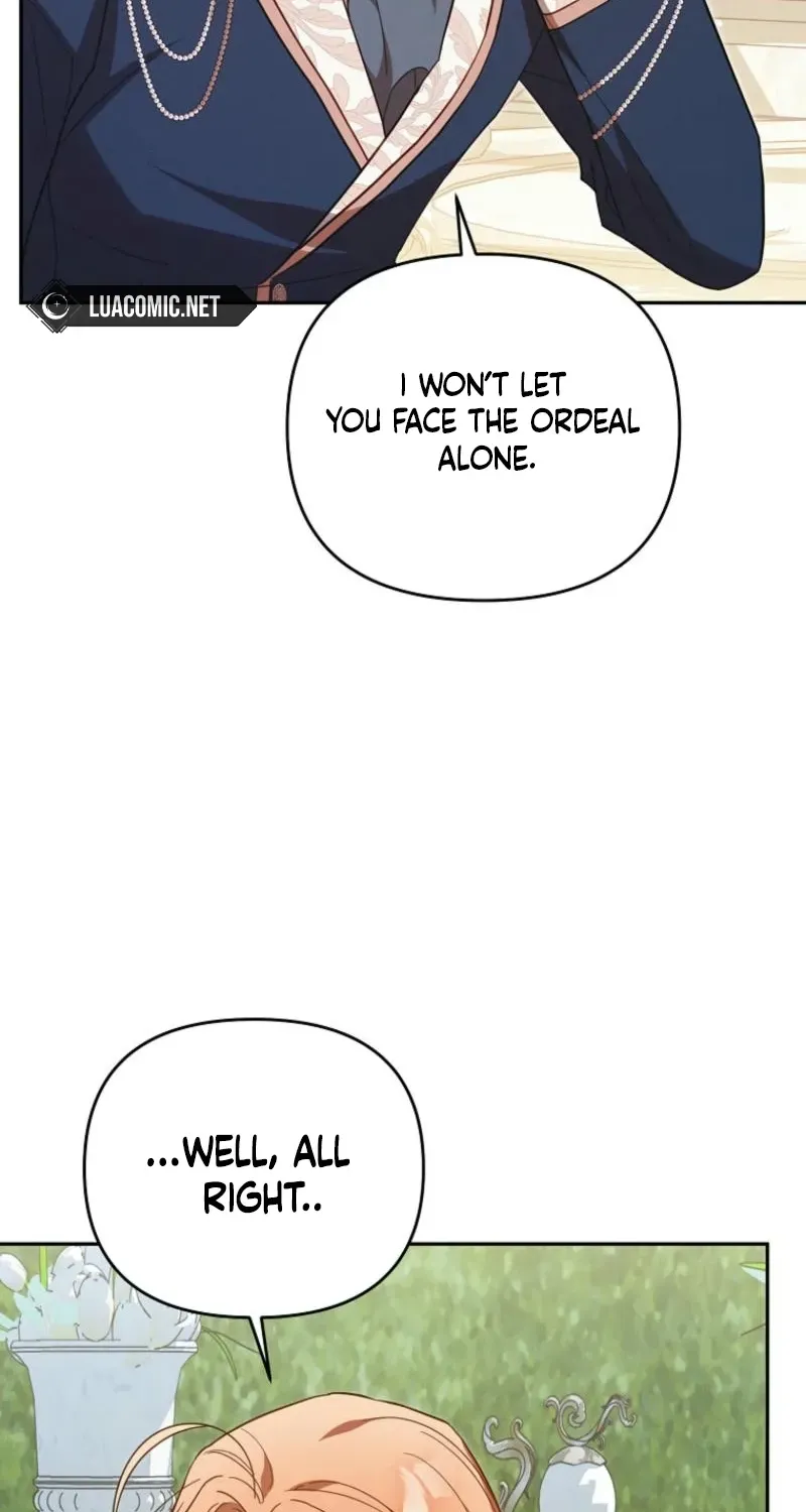 Mistaken for the Villain