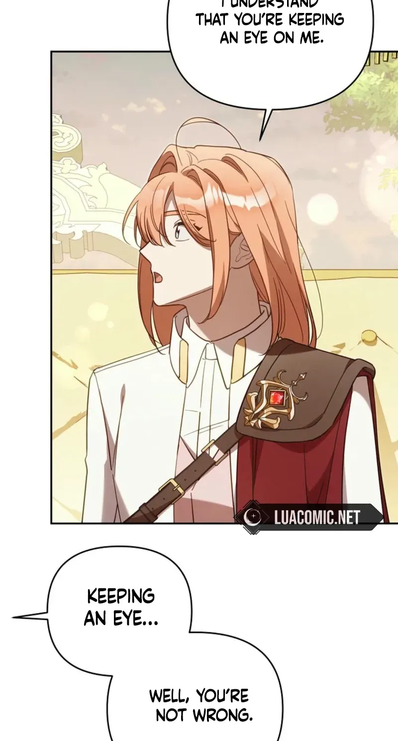 Mistaken for the Villain