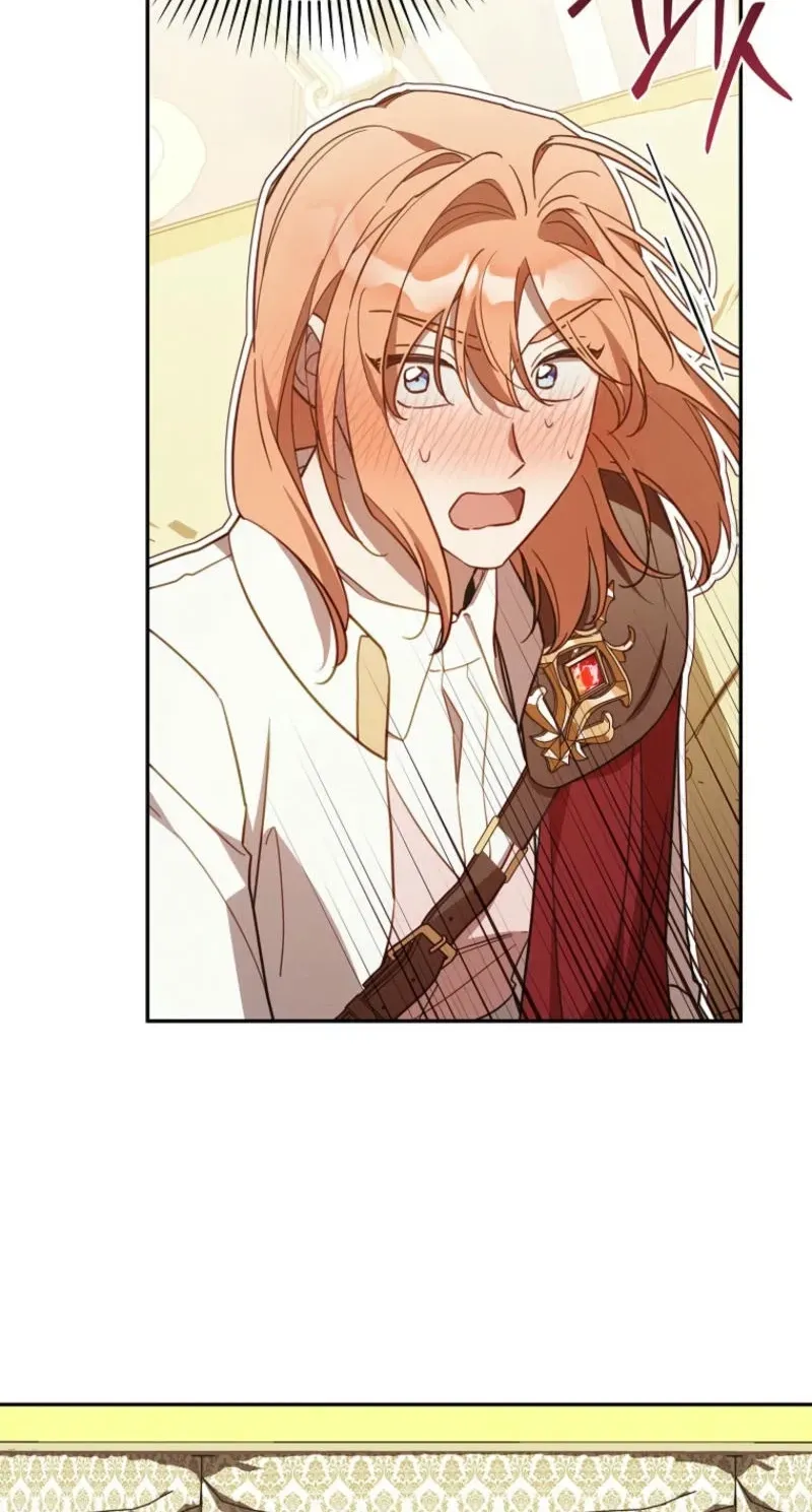 Mistaken for the Villain