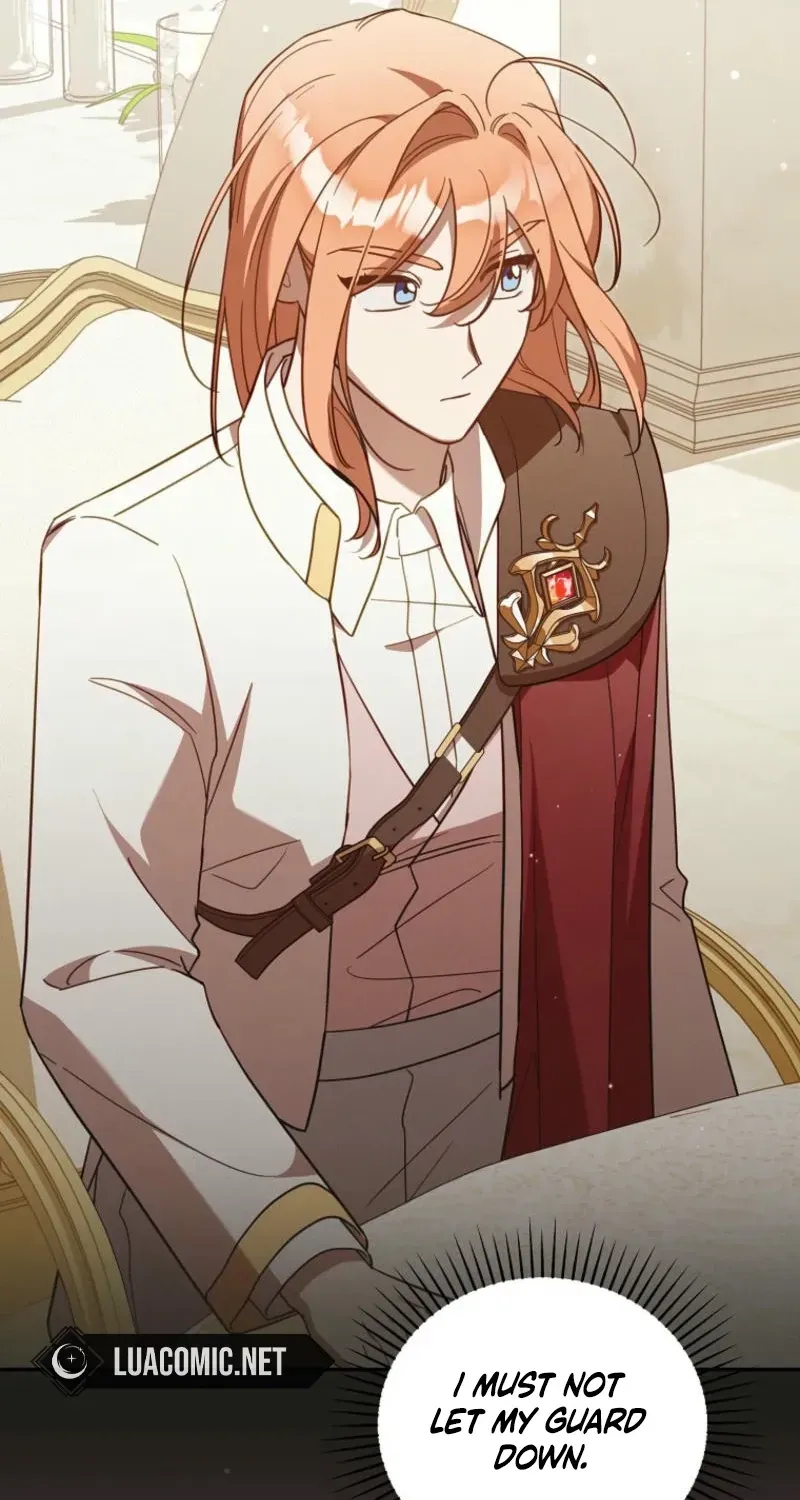 Mistaken for the Villain