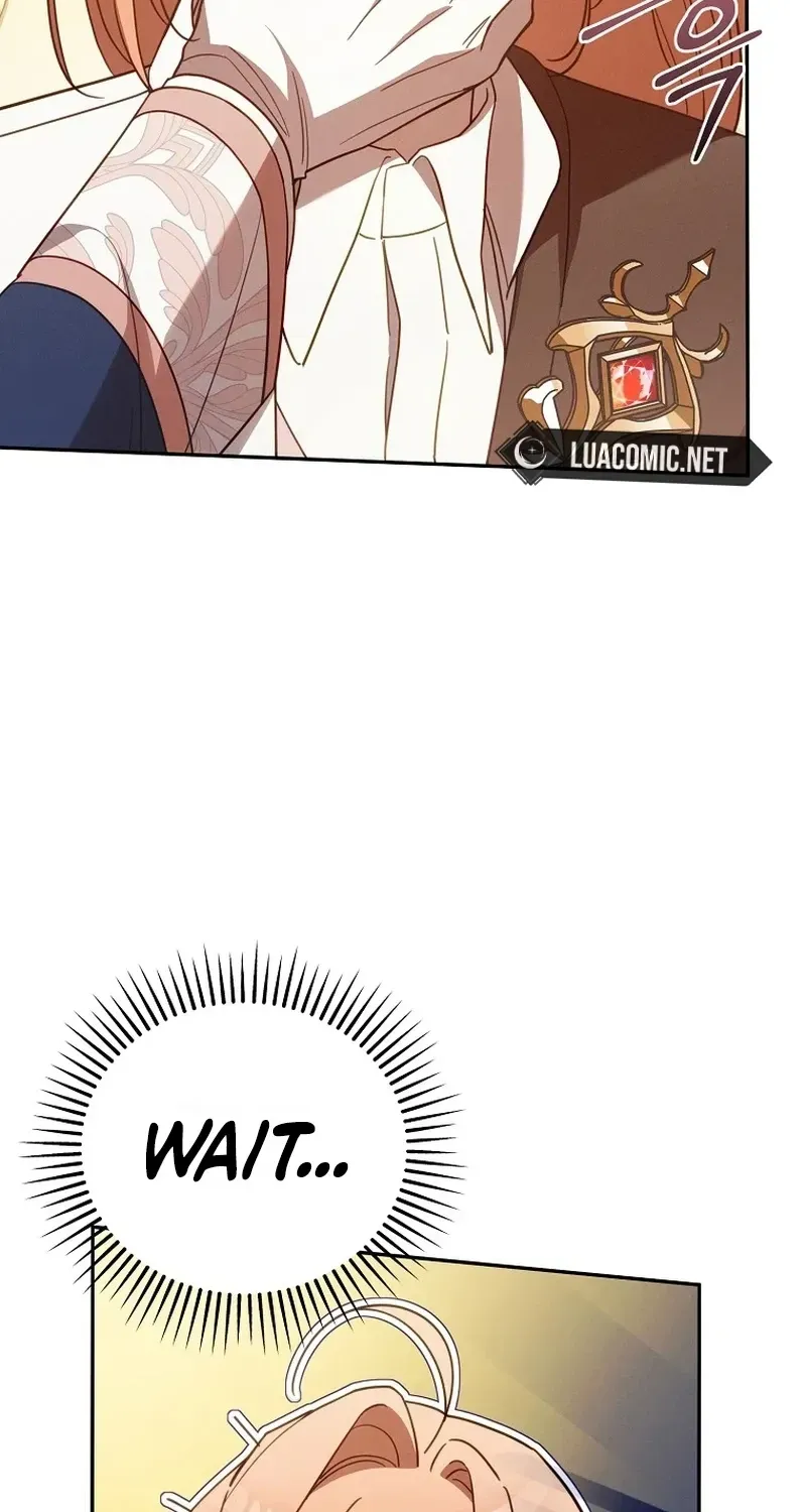 Mistaken for the Villain