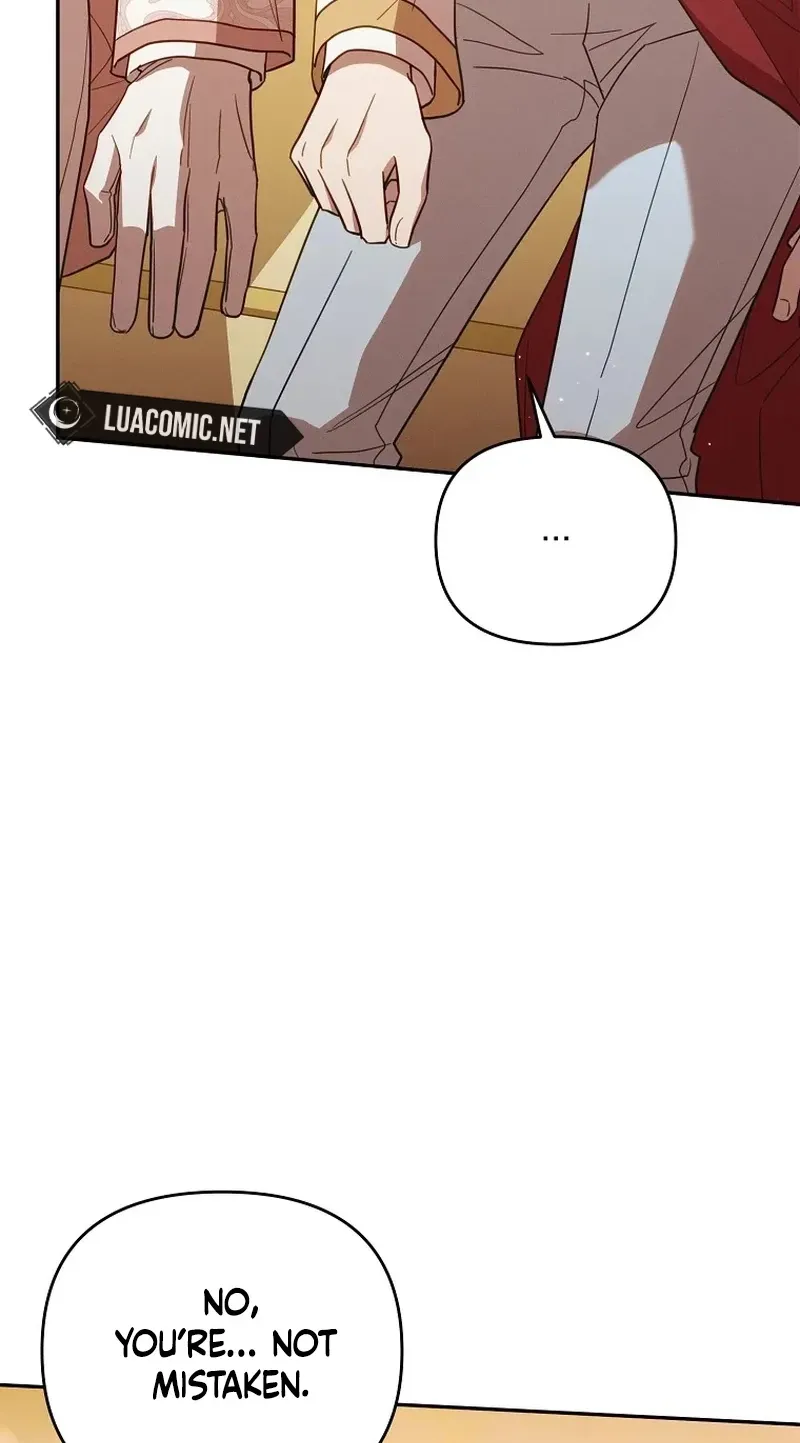 Mistaken for the Villain