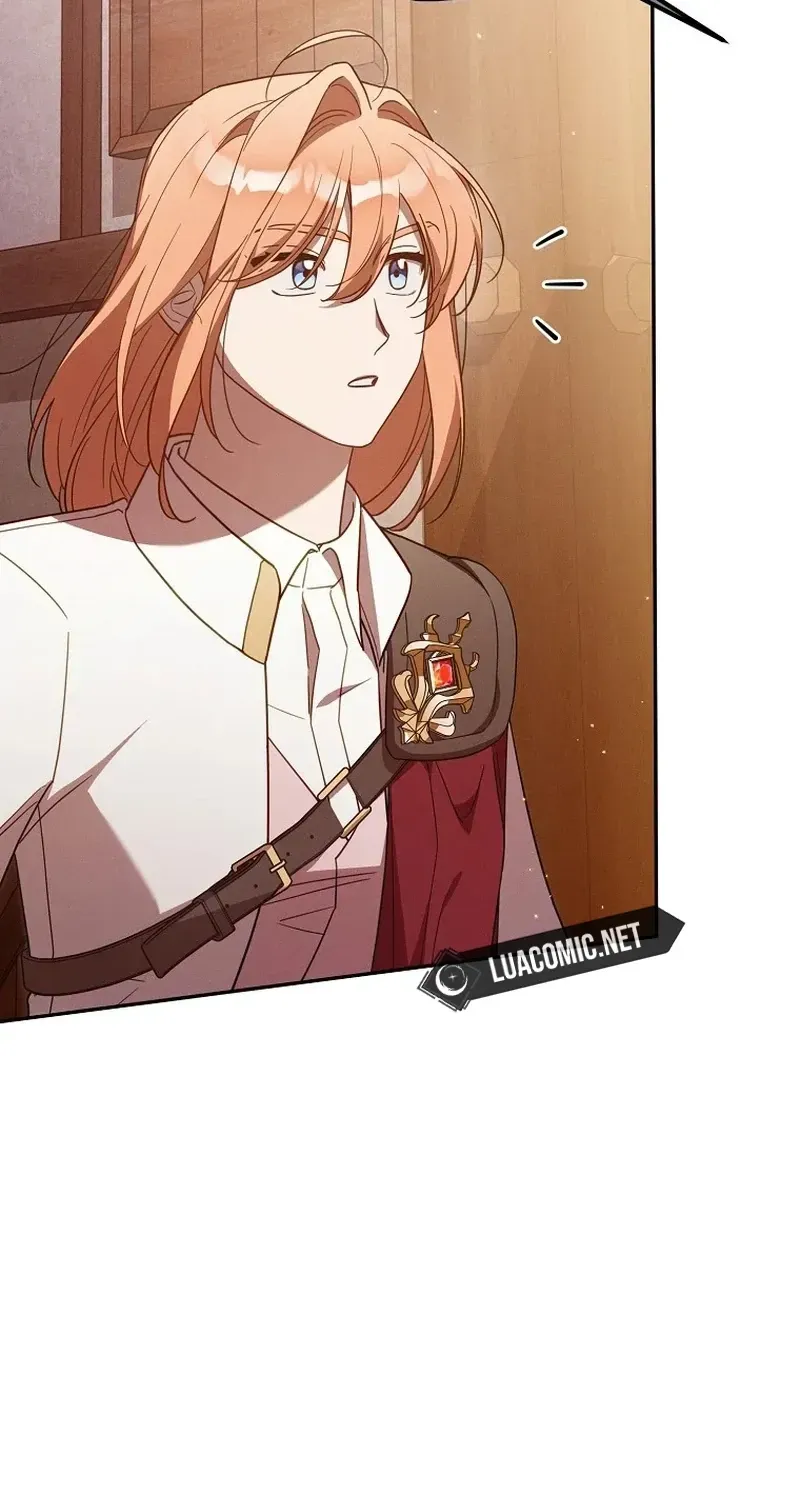 Mistaken for the Villain