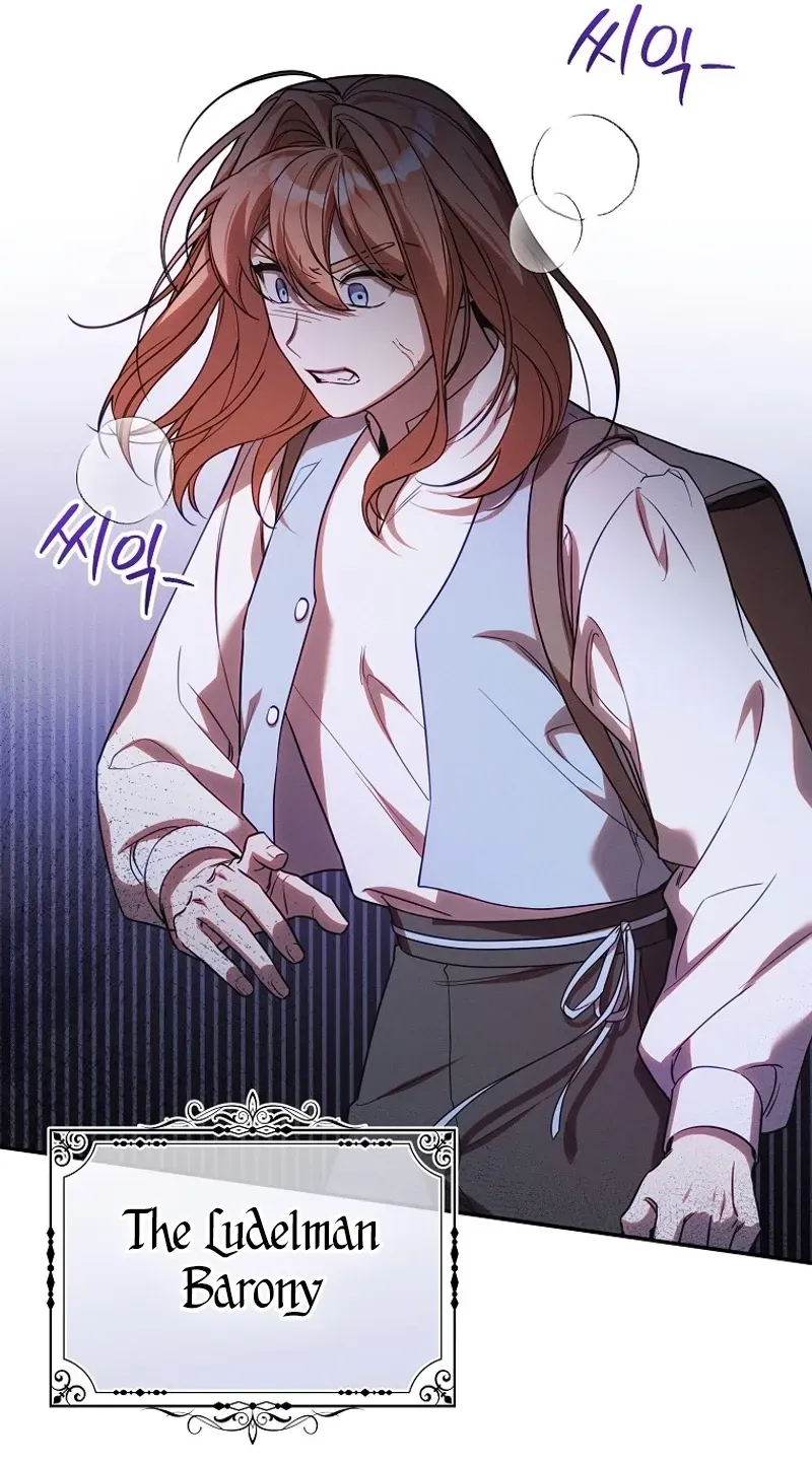 Mistaken for the Villain