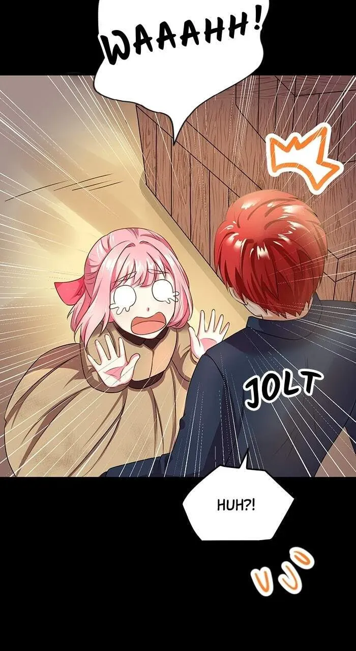 Mob na no ni Kahogo na Koushaku ni Dekiaisareteimasu Chapter 19 page 17 - 