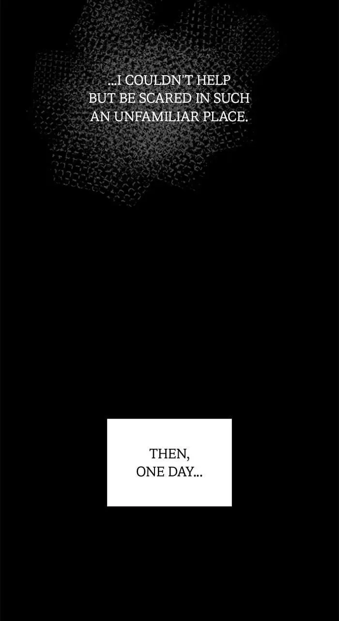 Mob na no ni Kahogo na Koushaku ni Dekiaisareteimasu Chapter 19 page 5 - 