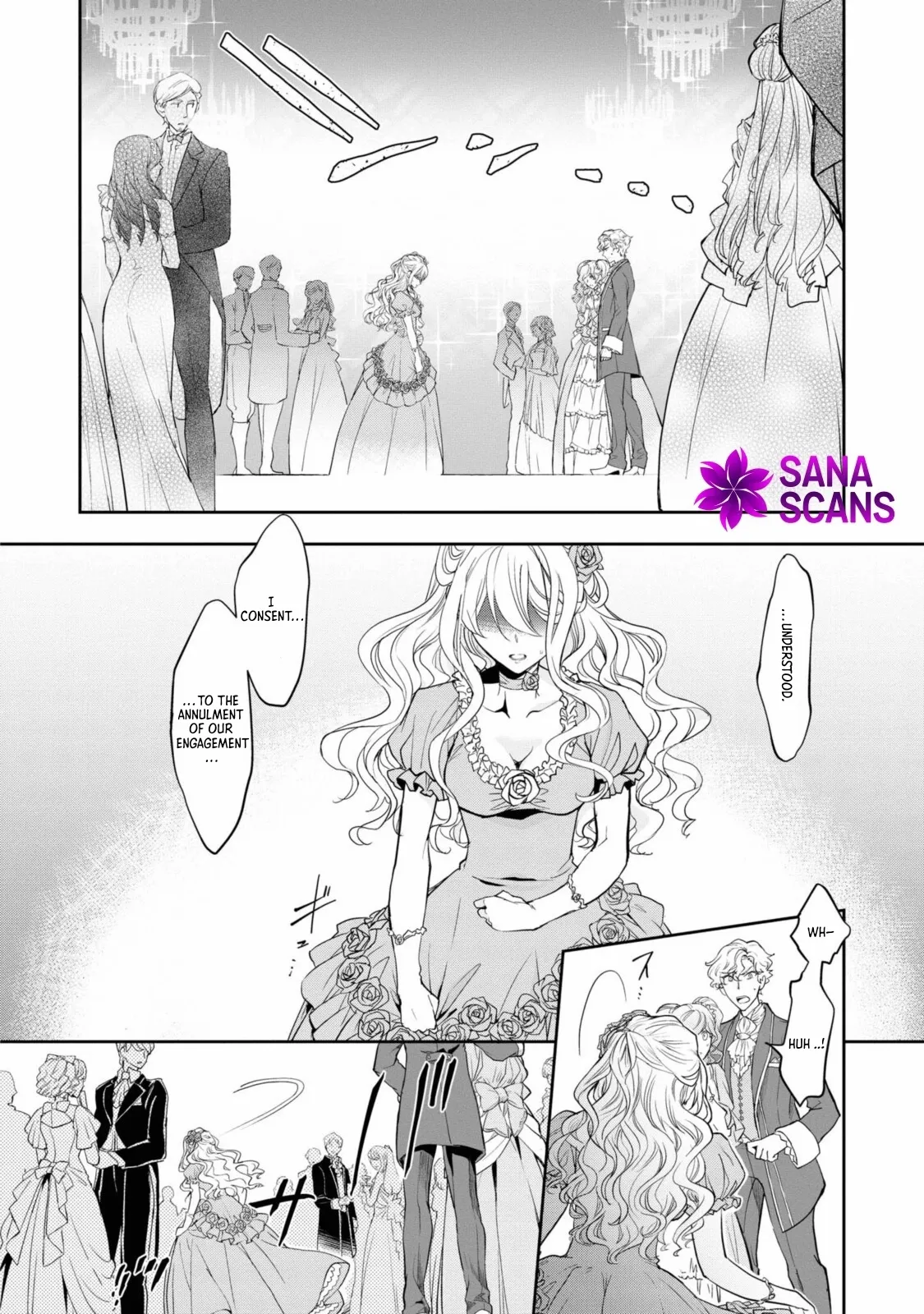 Modern Cinderellas Don
