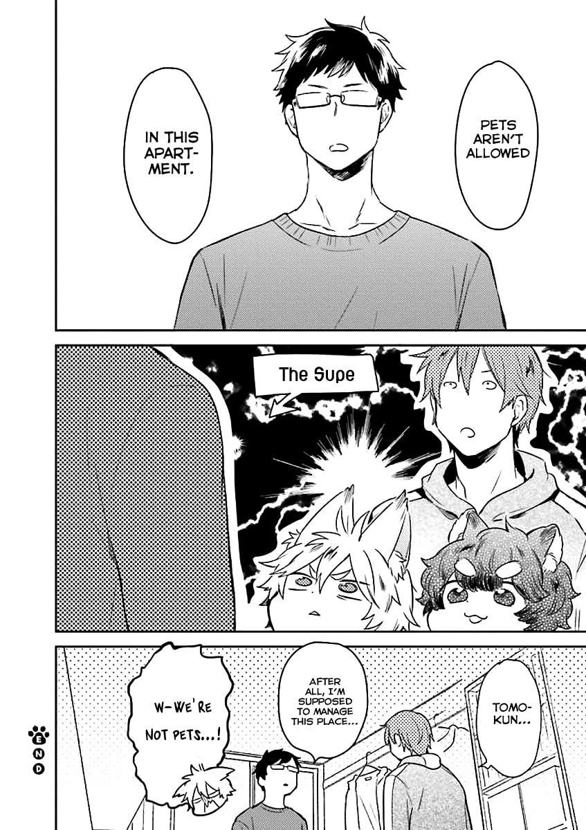 Mofumofu no Kamisama Sagashi Chapter 2 page 19 - 