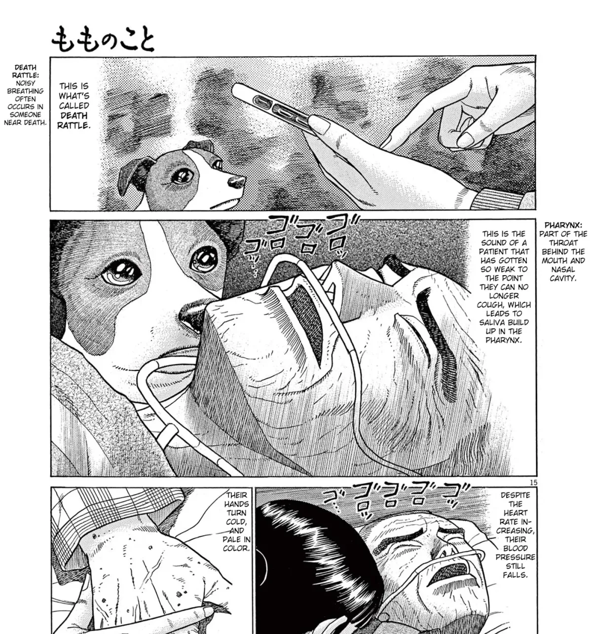 Momo no Koto: Aiken to Roujin no Saigo no Hibi Chapter 8 page 29 - 