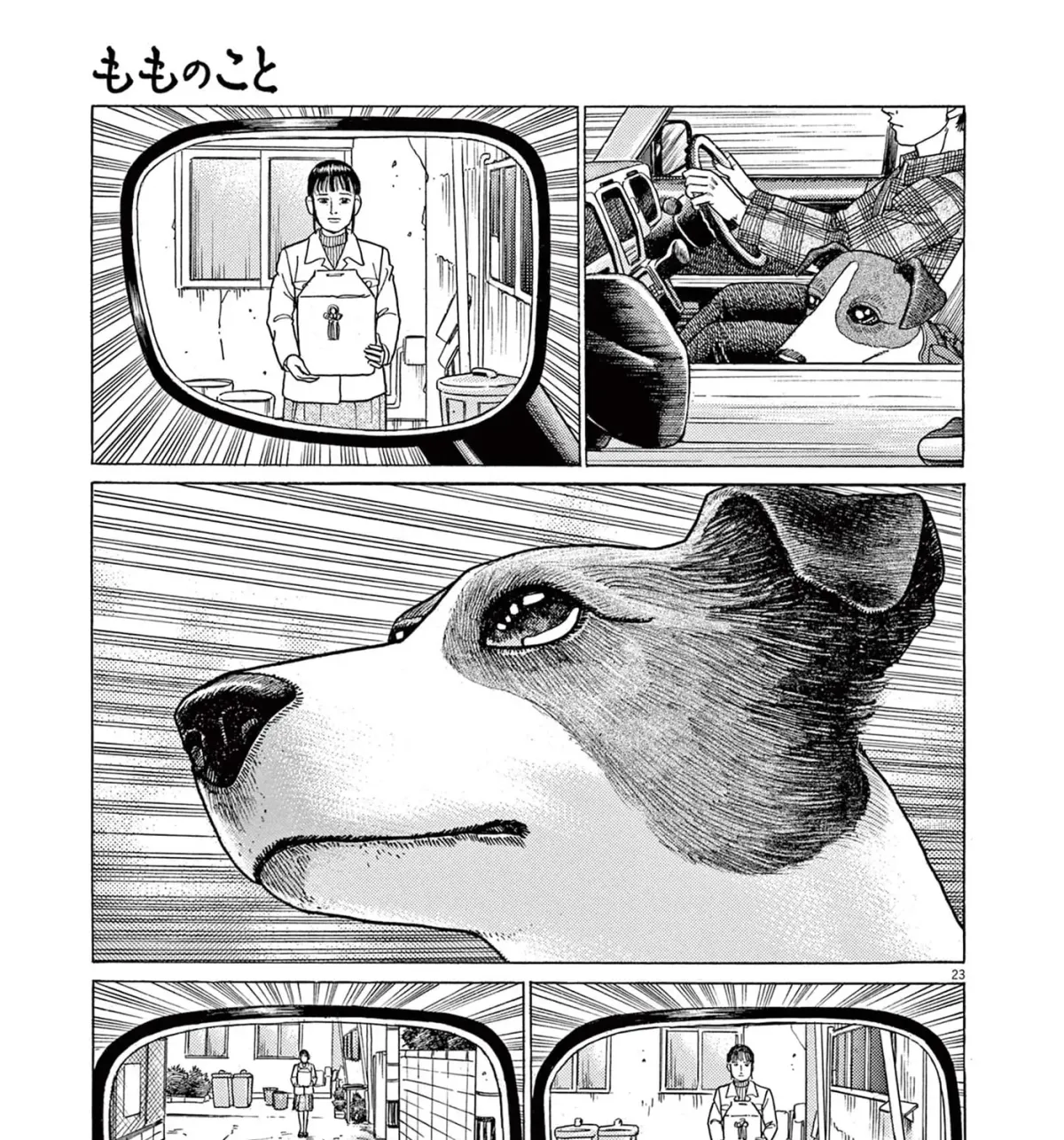 Momo no Koto: Aiken to Roujin no Saigo no Hibi Chapter 8 page 45 - 