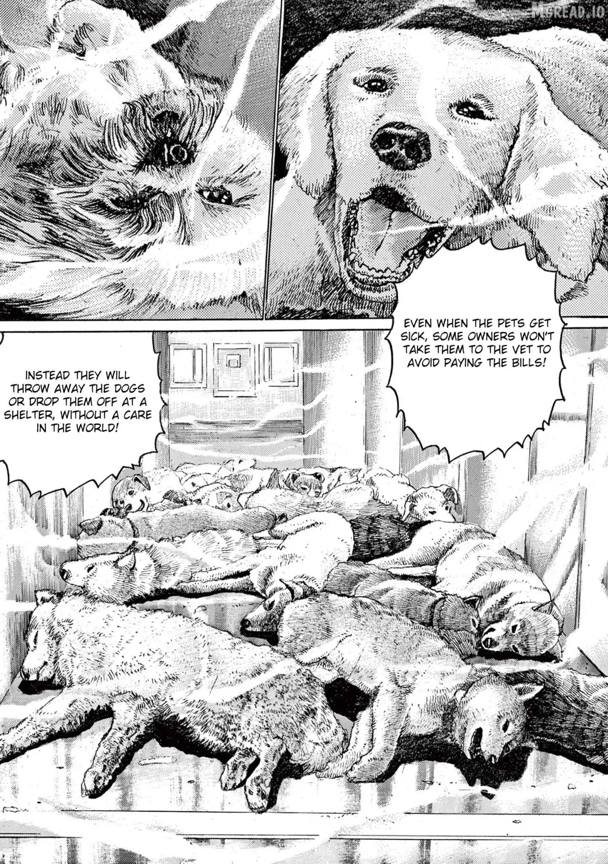 Momonoko: The last days of an old man and his beloved dog Chapter 4 page 7 - 