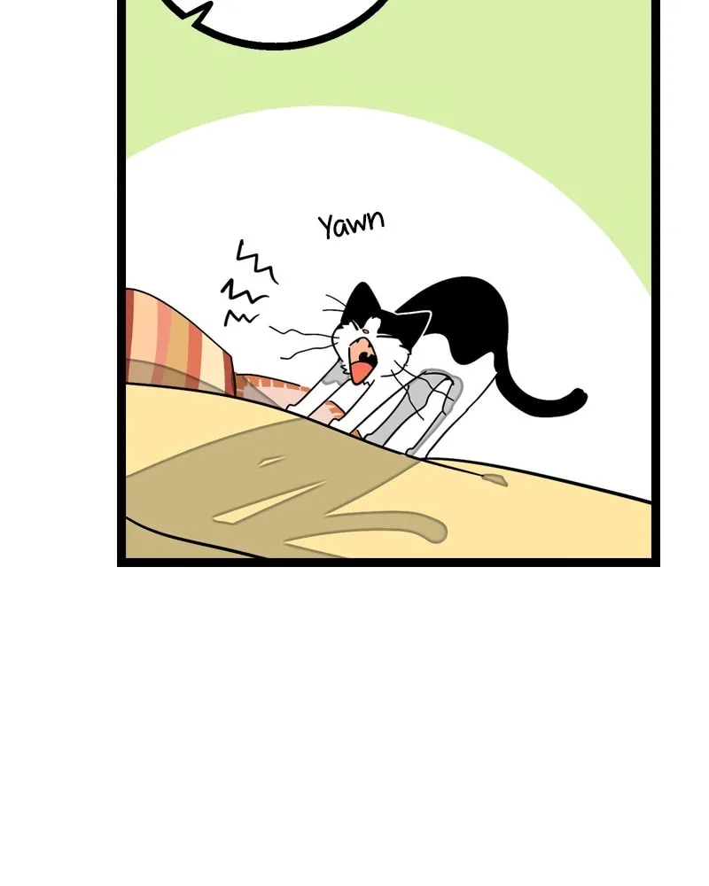 Monday to Weekend (Colored) Chapter 11 page 15 - 