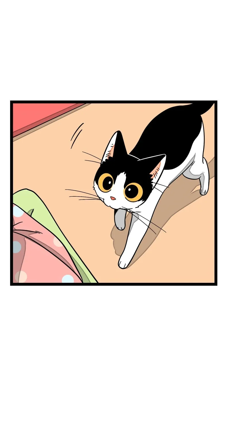 Monday to Weekend (Colored) Chapter 11 page 16 - 