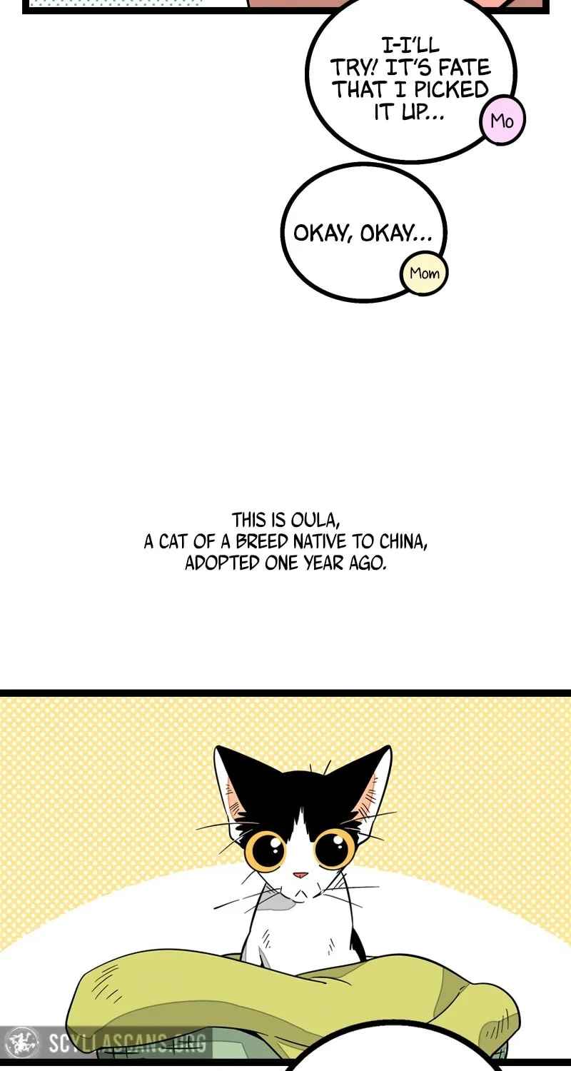 Monday to Weekend (Colored) Chapter 11 page 4 - 