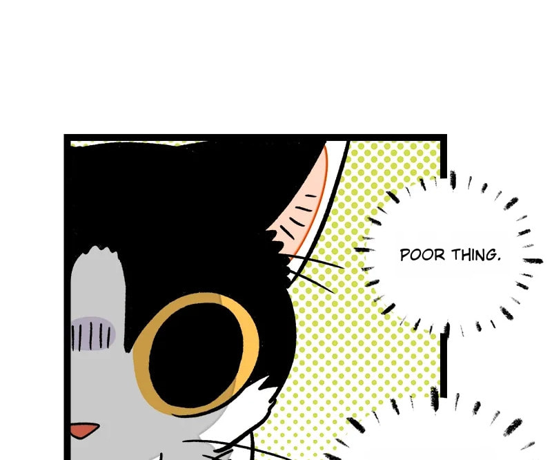 Monday to Weekend (Colored) Chapter 77 page 12 - 