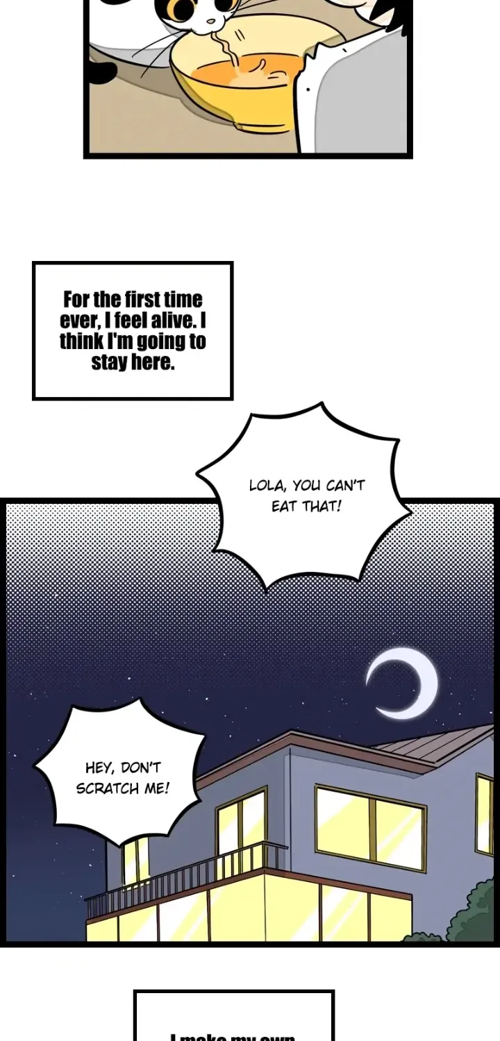 Monday to Weekend Chapter 19 page 41 - 