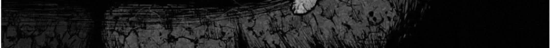 Monkey Peak the Rock Chapter 1 page 8 - 