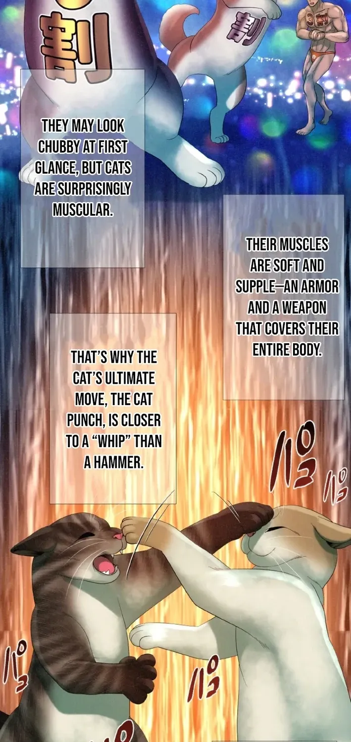 Monster Cat Punch Chapter 10 page 34 - 
