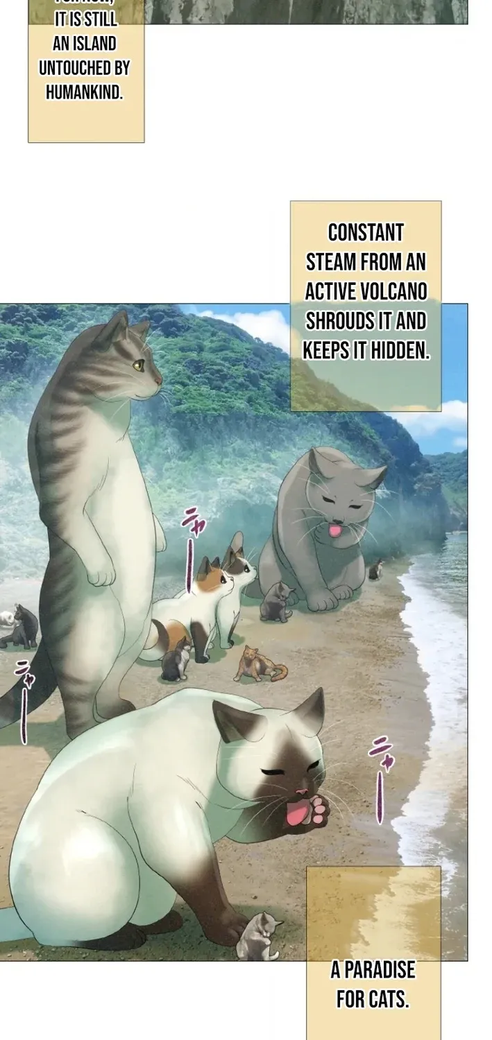 Monster Cat Punch Chapter 10 page 63 - 