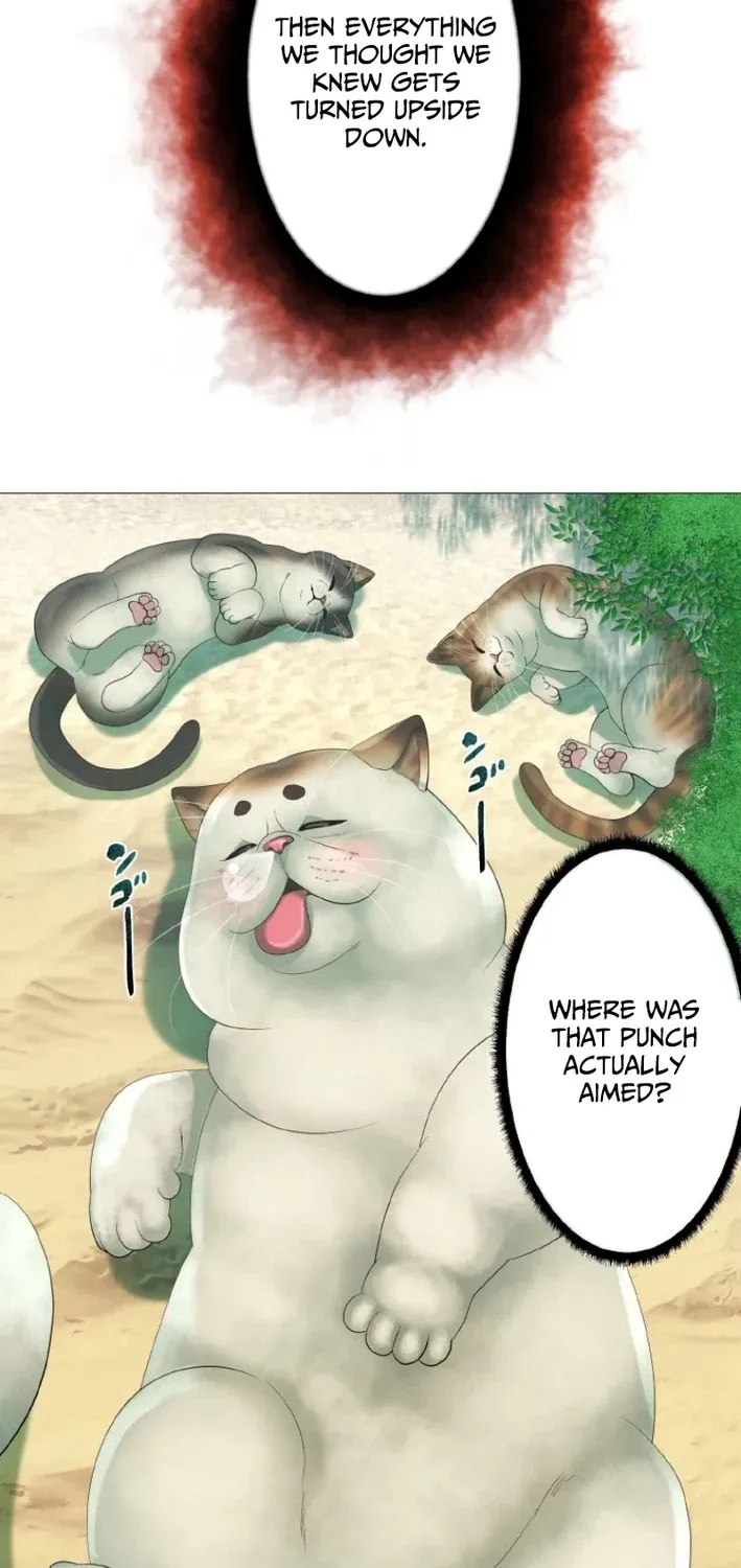 Monster Cat Punch Chapter 10 page 79 - 